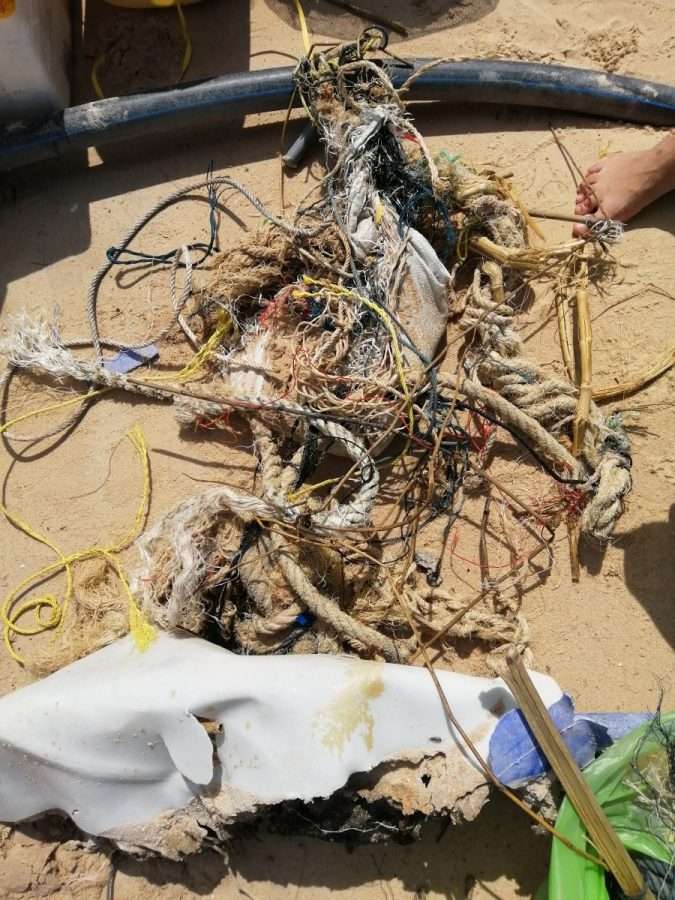 About Us 21 cleanup5 scaled 1 - About Us