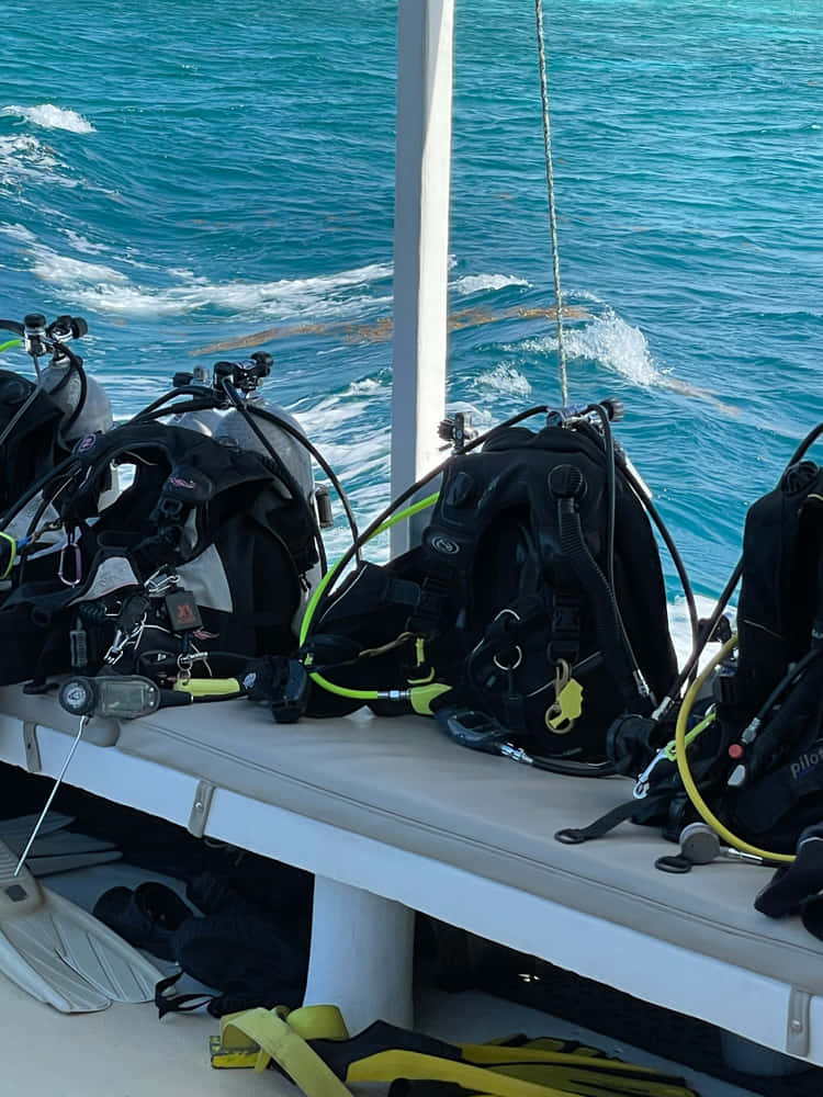 Dive gear