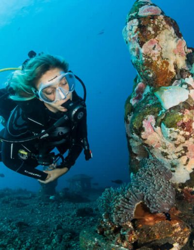 Diving in Nusa Penida 21 ¿Dónde bucear en Indonesia?